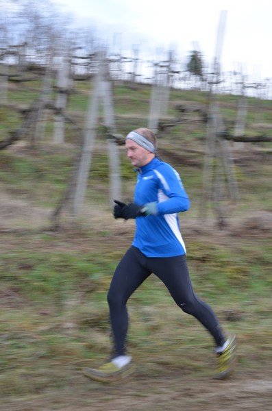Tek Biljanski gri 269 i 436